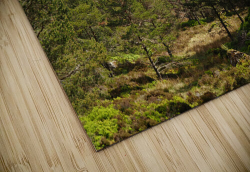  Scottish Highlands Landscape View                                                                                                                     Catriona Roberts Nature Photography and Designs puzzle