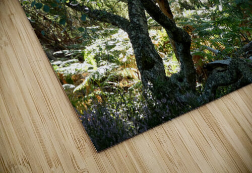 Scottish Highlands Mystical Birch Forest Catriona Roberts Nature Photography and Designs puzzle