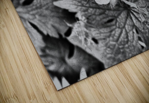 Monochrome Dew Kissed Geranium   Catriona Roberts Nature Photography and Designs puzzle