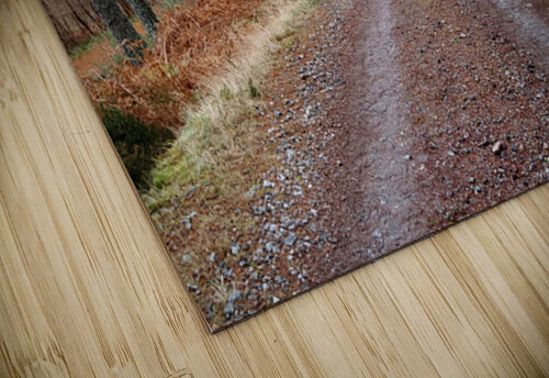 When the Snow Leaves                                                                                                                      Catriona Roberts Nature Photography and Designs puzzle