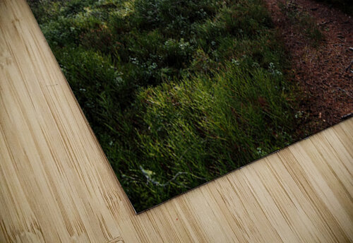  Winter Blay Berry Trail                                                                                                                   Catriona Roberts Nature Photography and Designs puzzle