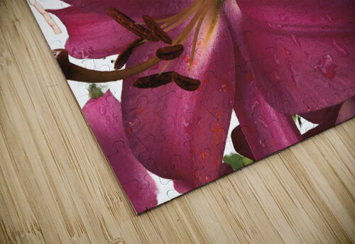 Ruby Lily Flowers Catriona Roberts Nature Photography and Designs puzzle