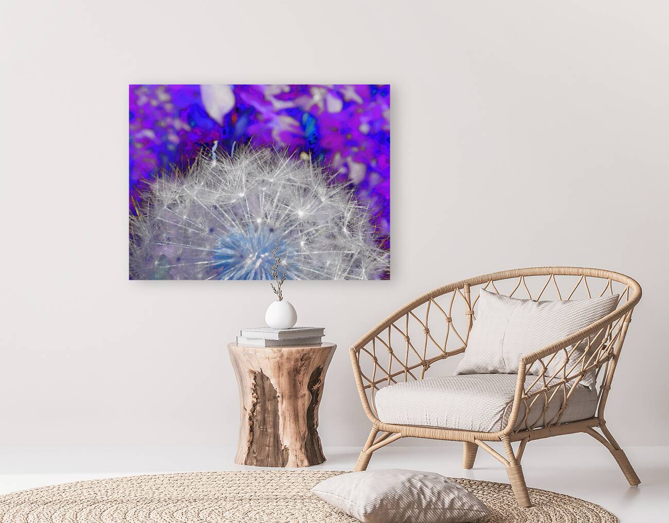 Abstract Coloured Dandelion Seeds Close Up Reproduction