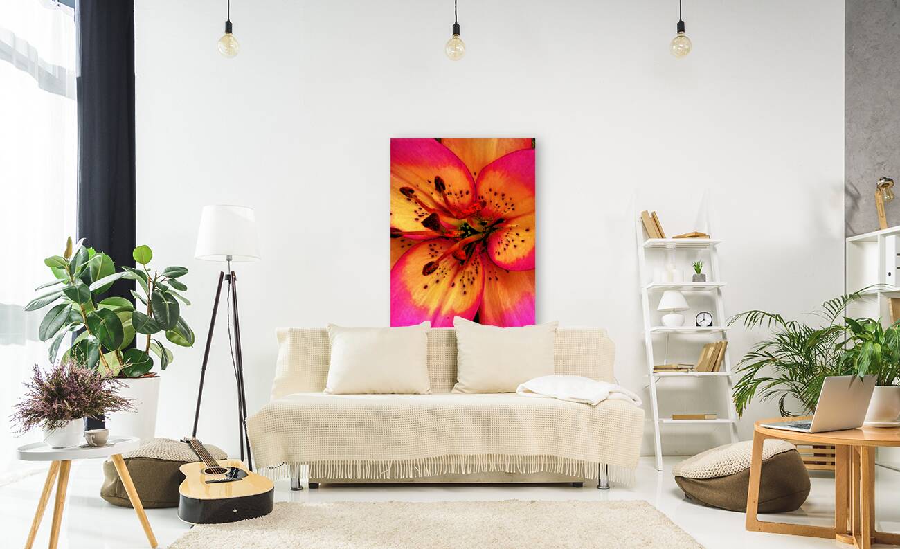 Abstract Close Up Lily Flower Reproduction