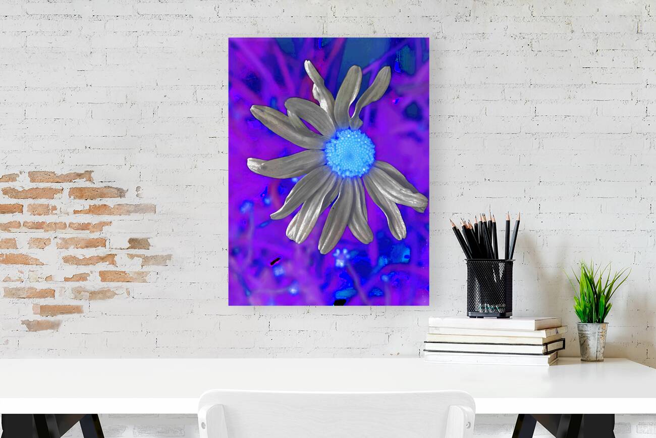  Abstract Colourful Daisy Flower  Reproduction