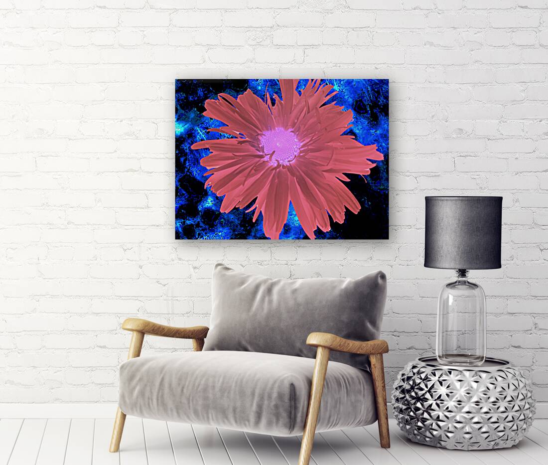 Abstract Red Daisy Reproduction