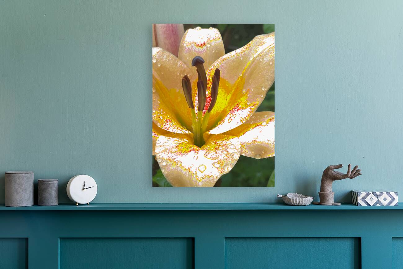 Abstract Vibrant Dew Drop Lily Flower Reproduction