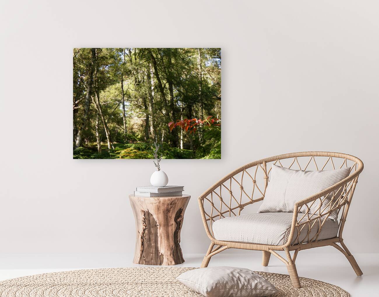 Scottish Highlands Birch Forest in Summer Reproduction