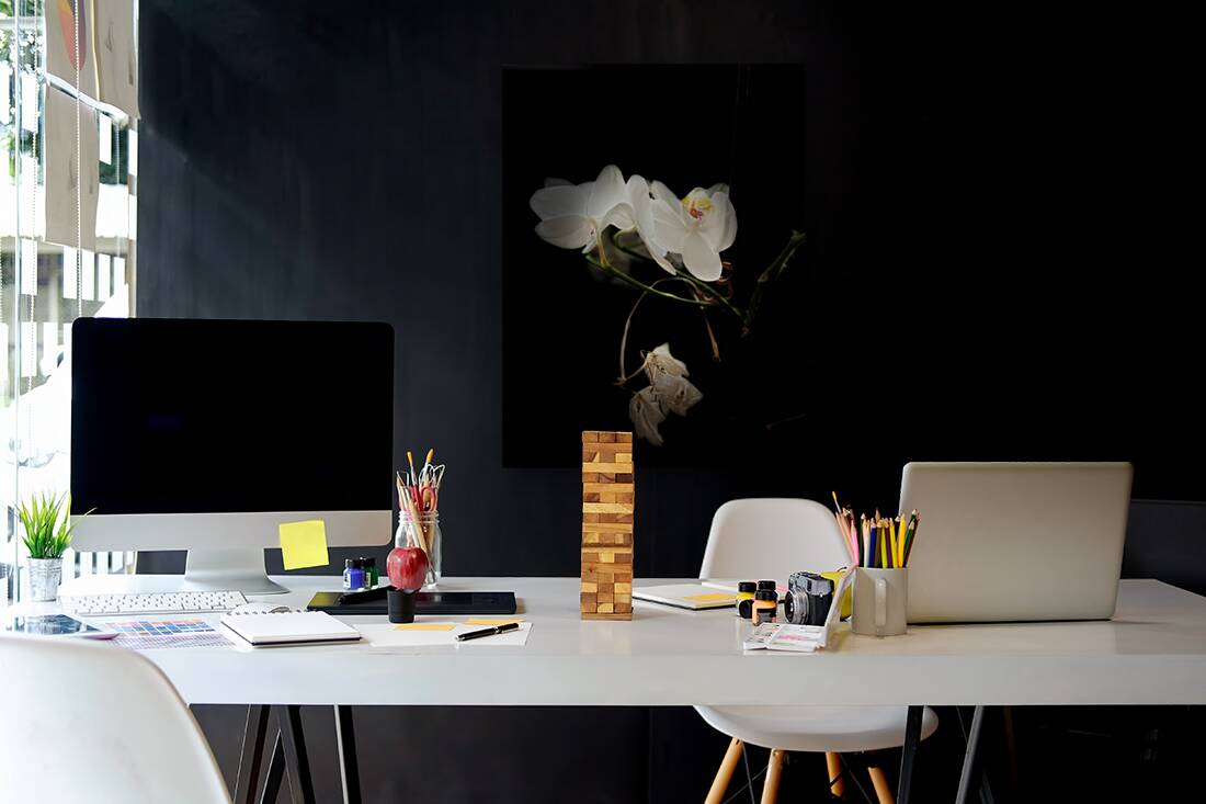 Portraits of Plants  Orchids in the Darkness  Reproduction