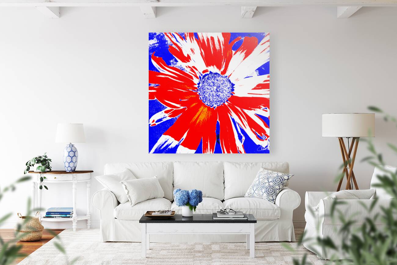 Red White and Blue Daisy on a Navy Abstract Background Reproduction