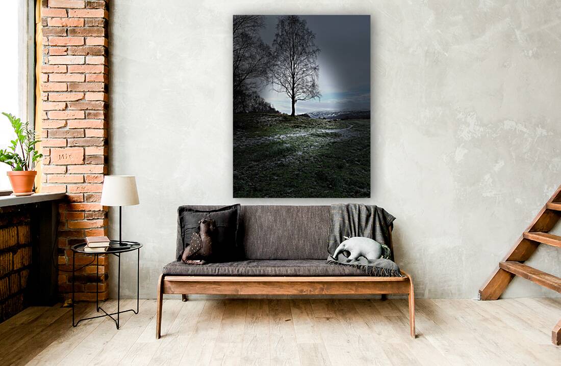  Scenes from the Trail- Tree Reproduction