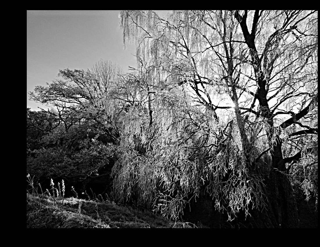  Black and White Winter Beauty in the Scottish Highlands Reproduction