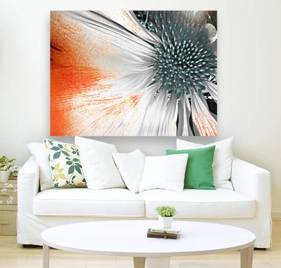 Abstract Cone Flower Reproduction