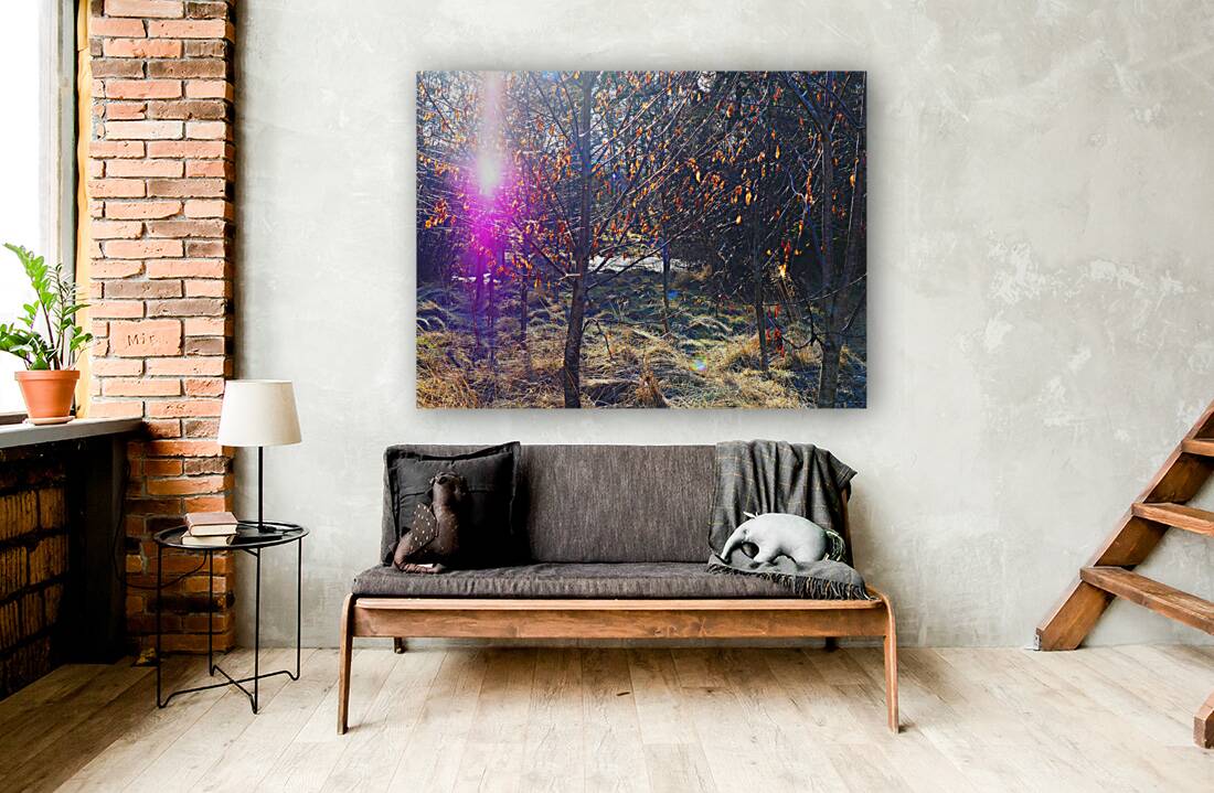 Scottish Highlands Visitation                                                                                                           Reproduction