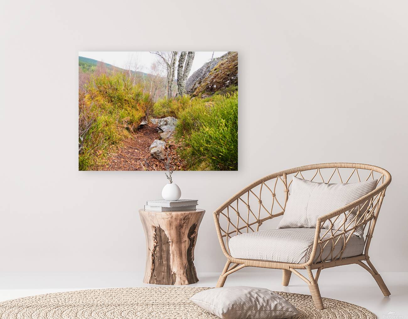 Spring Nature Trail Through The Scottish Highlands                                                                                                                    Reproduction