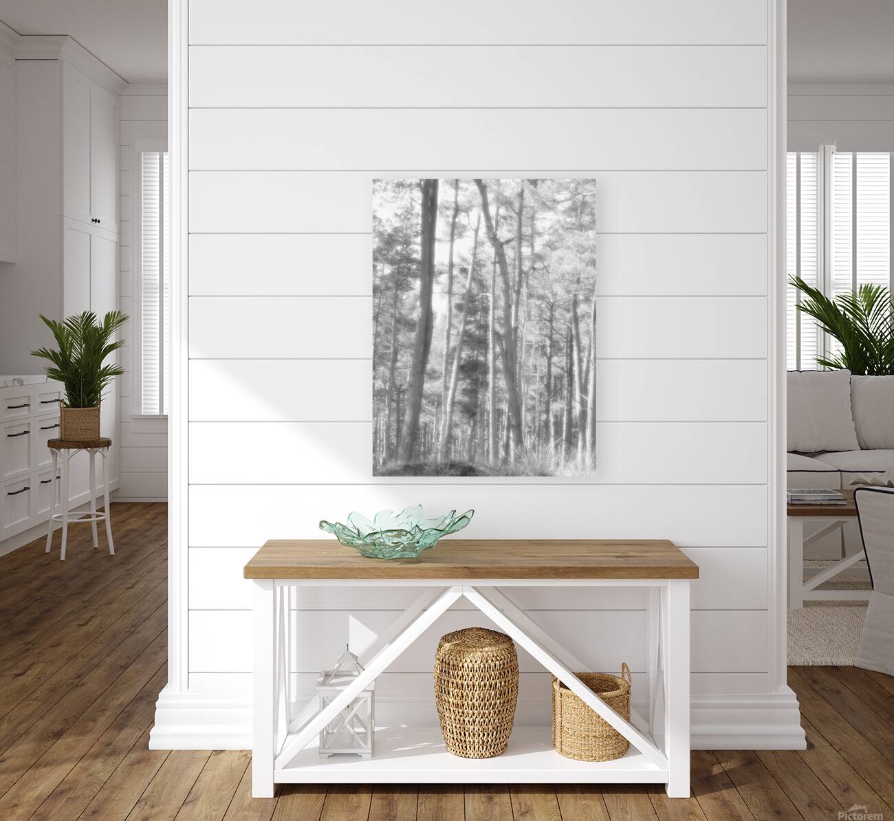 Monochrome Summer Pine Forest Reproduction