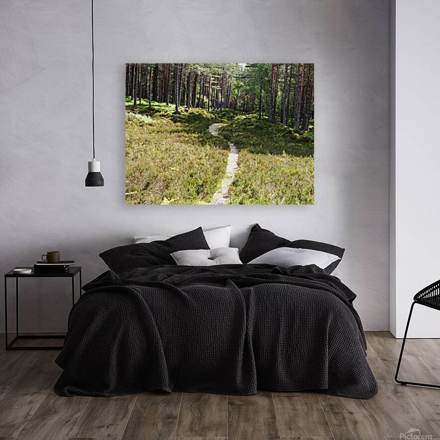 Scottish Heather Trail                                                                                                                       Reproduction