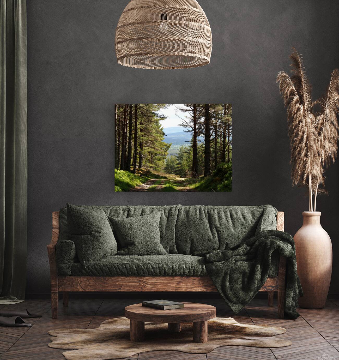 Scottish Highlands Pine Trail                                                                                                                       Reproduction
