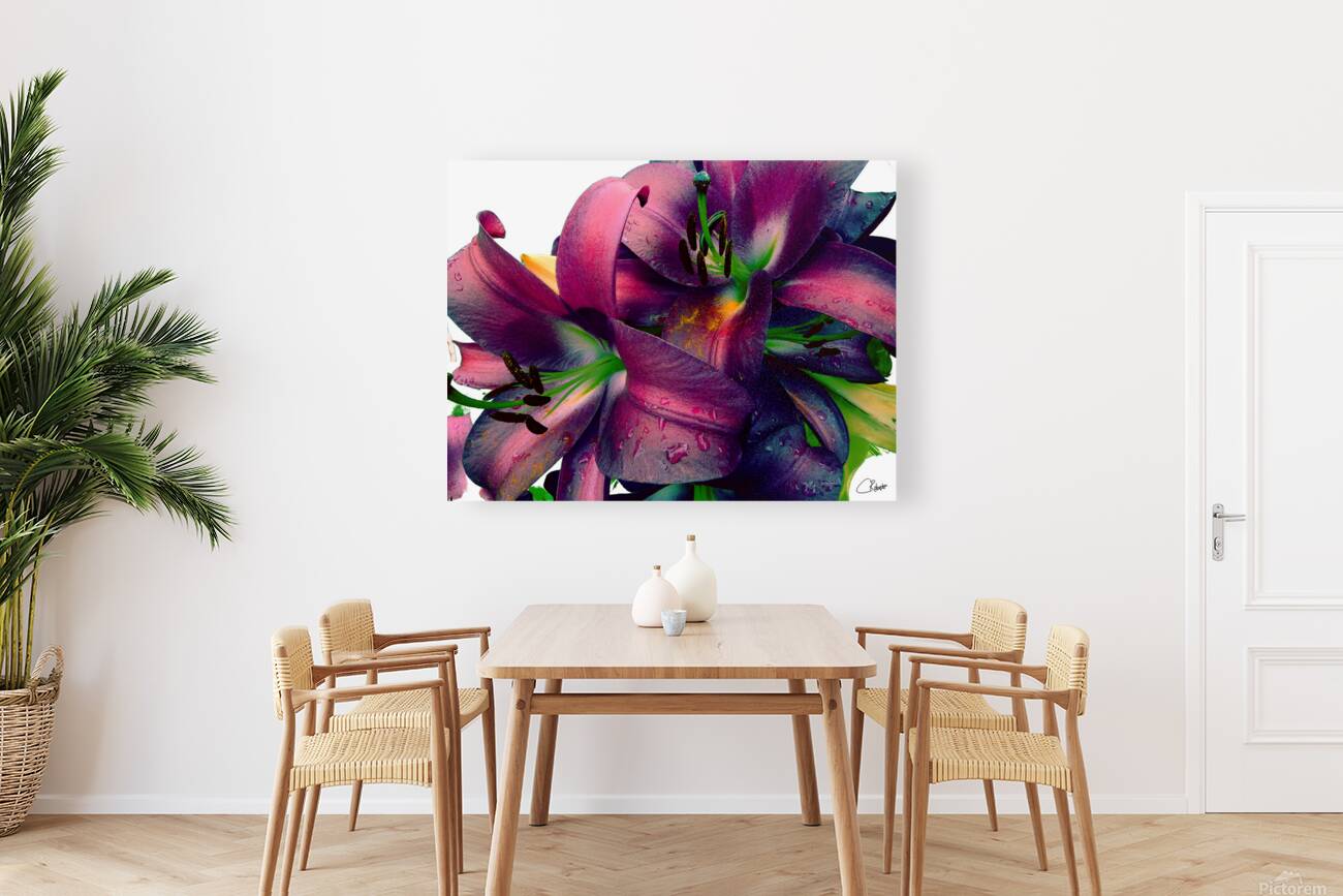 Rich Summer Lily Flowers Reproduction