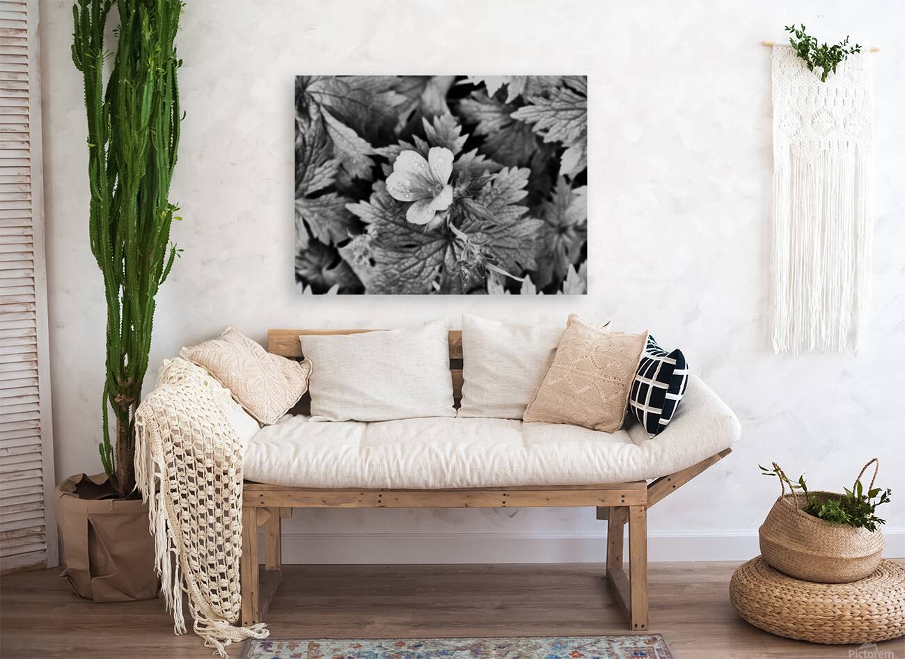 Monochrome Dew Kissed Geranium   Reproduction