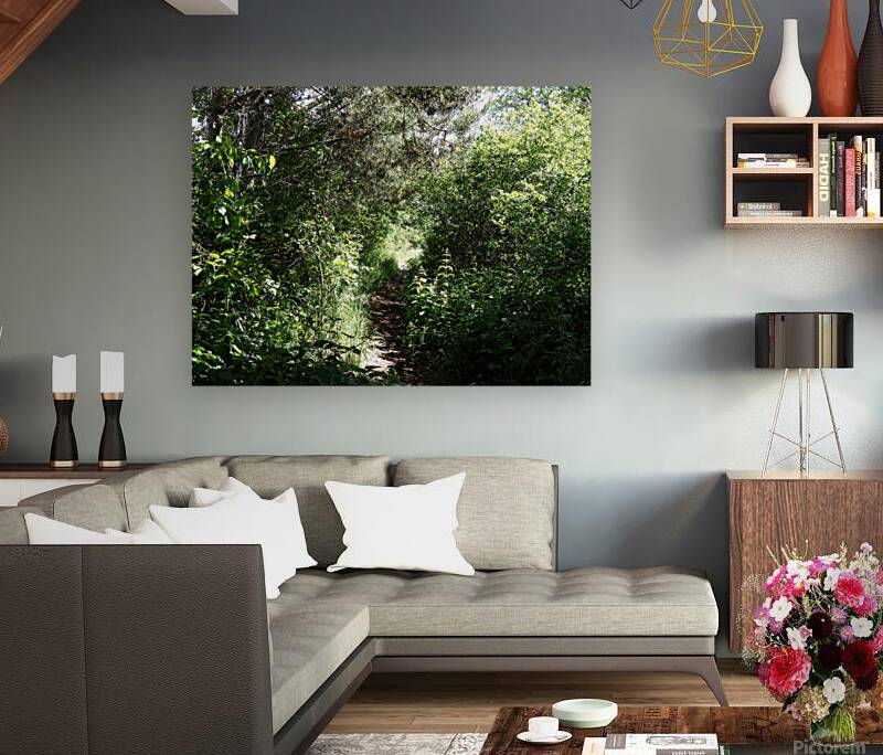 Scottish Highlands Sun Kissed Nature Trail                                                                                                                      Reproduction