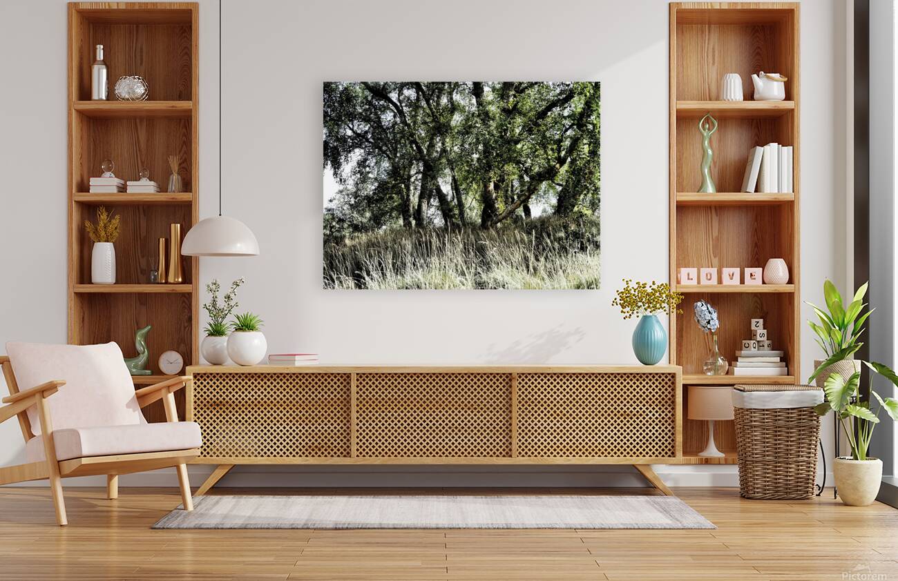 The Summer Birch Trees                                                                                                                       Reproduction