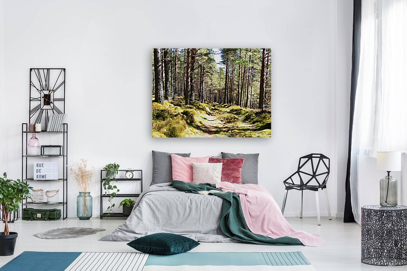  Sunshine in the Forest                                                                                                                   Reproduction