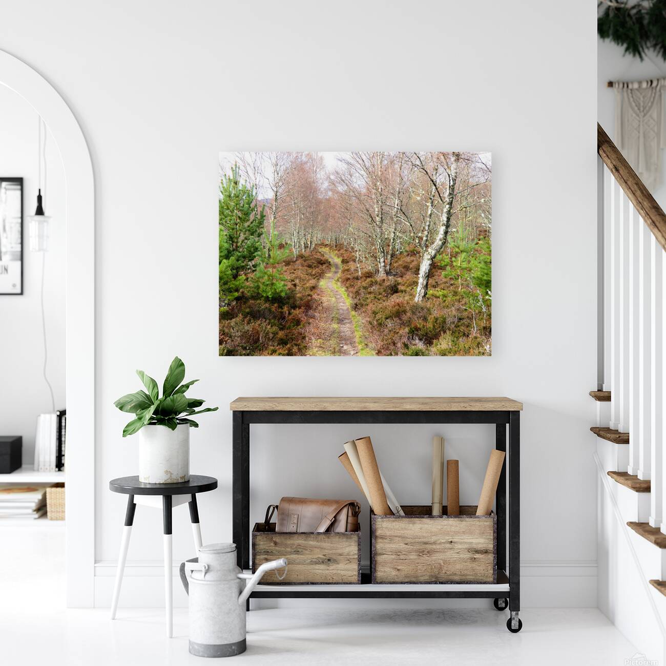  Spring Trail through the Birch Trees                                                                                                                       Reproduction