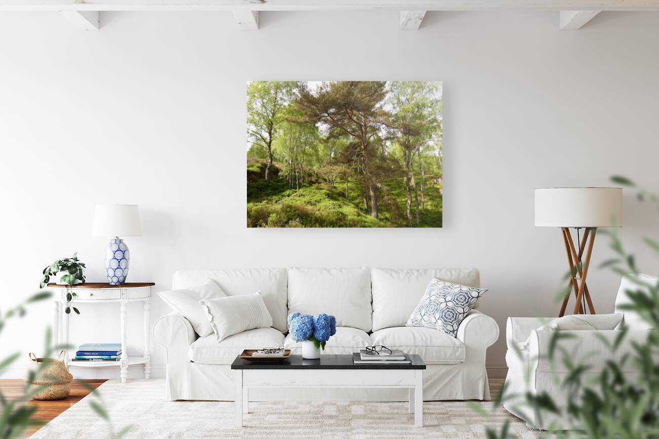 Fairy Tale Lands of the Scottish Highlands. Reproduction