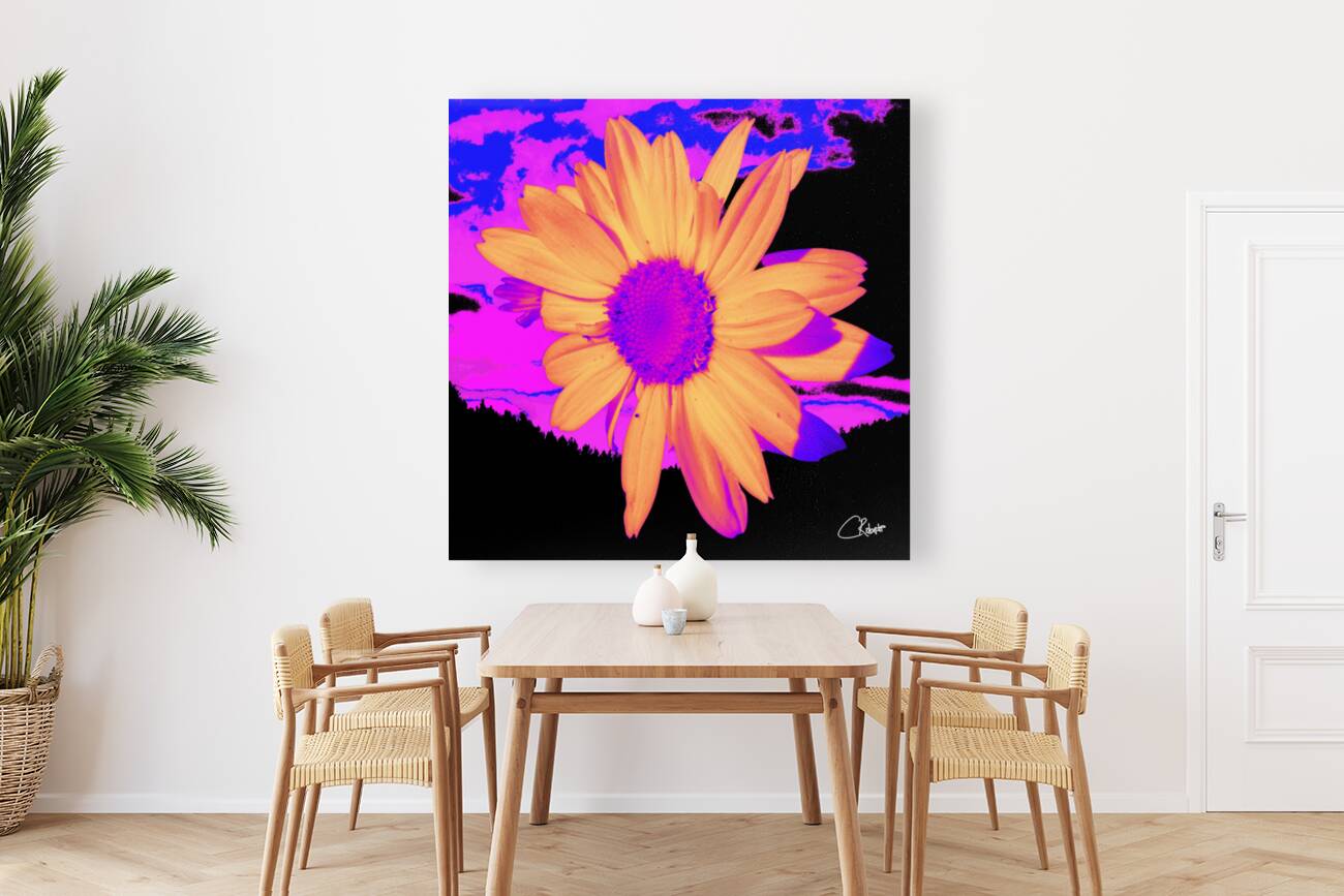 Daisy Dreaming Reproduction