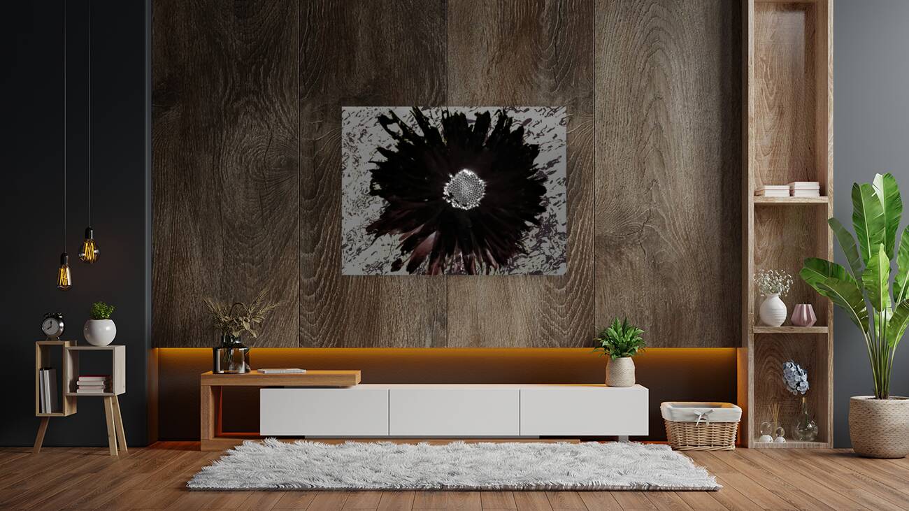 Dark Daisy with White Centre on a Grey Abstract Background Reproduction