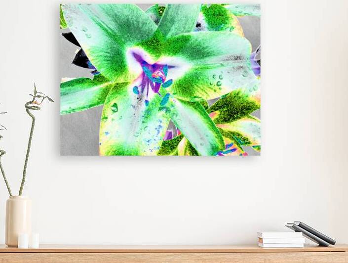 Abstract Strikingly Dramatic Lily Flowers by Catriona Roberts Nature Photography and Designs