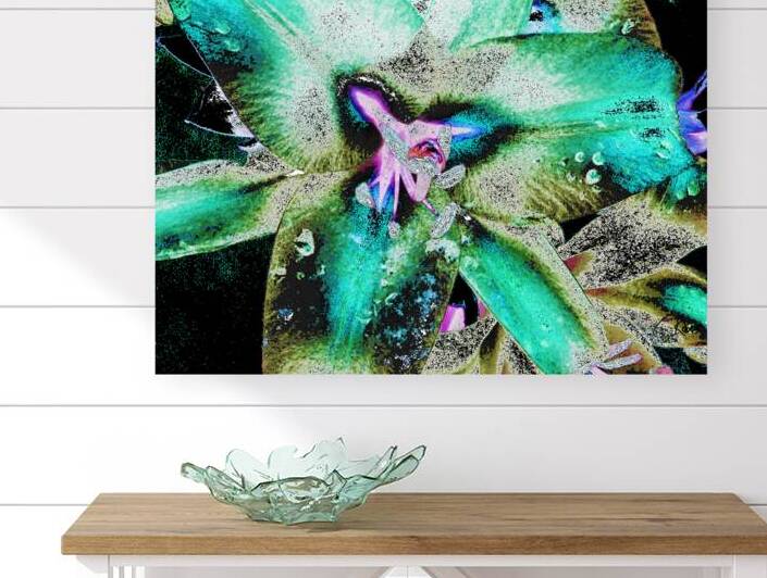 Abstract Surreal Coloured Lily Flowers by Catriona Roberts Nature Photography and Designs