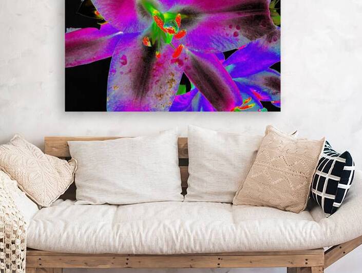  Abstract Purpled Neon Lily Flowers by Catriona Roberts Nature Photography and Designs