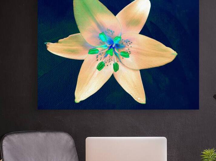 Abstract Surreal Single Lily Flower by Catriona Roberts Nature Photography and Designs