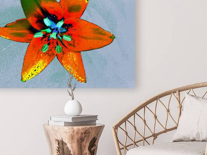 Abstract Vibrantly Coloured Single Lily Flower by Catriona Roberts Nature Photography and Designs