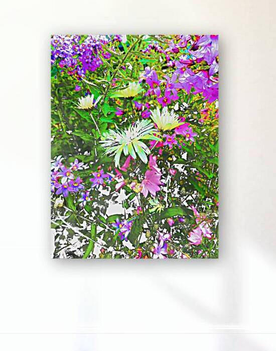 Vibrant Cottage Garden Flowers by Catriona Roberts Nature Photography and Designs