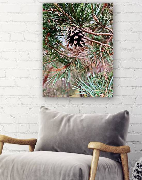 Scenes from the Trail-  Impressionistic Fir Cone by Catriona Roberts Nature Photography and Designs