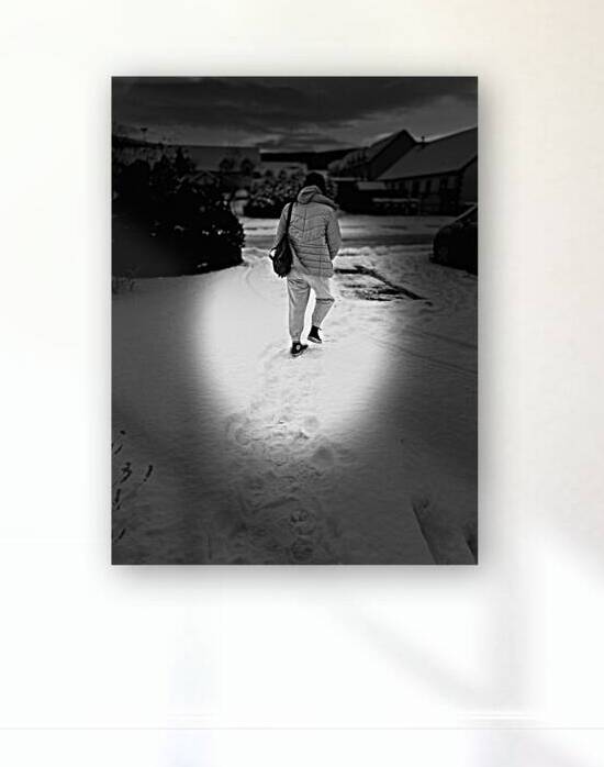 Everyday Life s Moments - Leaving for Work   by Catriona Roberts Nature Photography and Designs