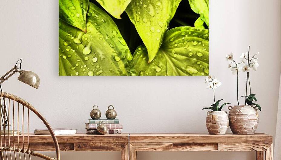  Impressionistic Hosta Leaves  by Catriona Roberts Nature Photography and Designs
