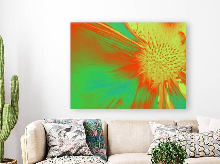 Abstract Cone Flower by Catriona Roberts Nature Photography and Designs