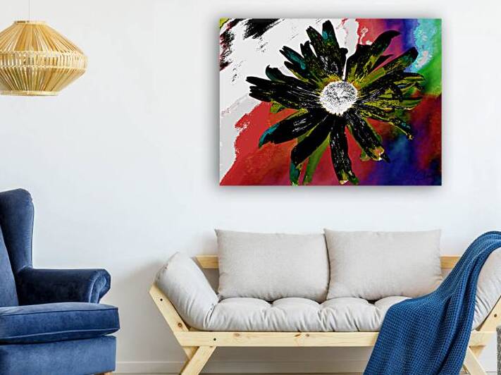 Abstract Black Daisy by Catriona Roberts Nature Photography and Designs