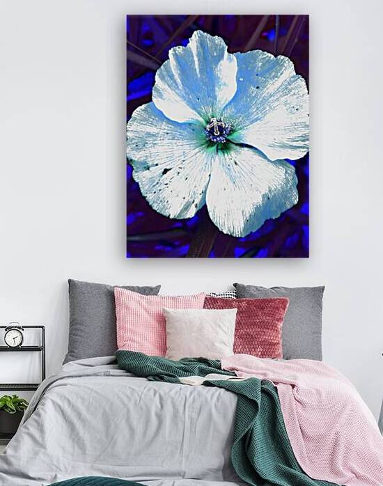 Abstract Blue Wild Poppy by Catriona Roberts Nature Photography and Designs