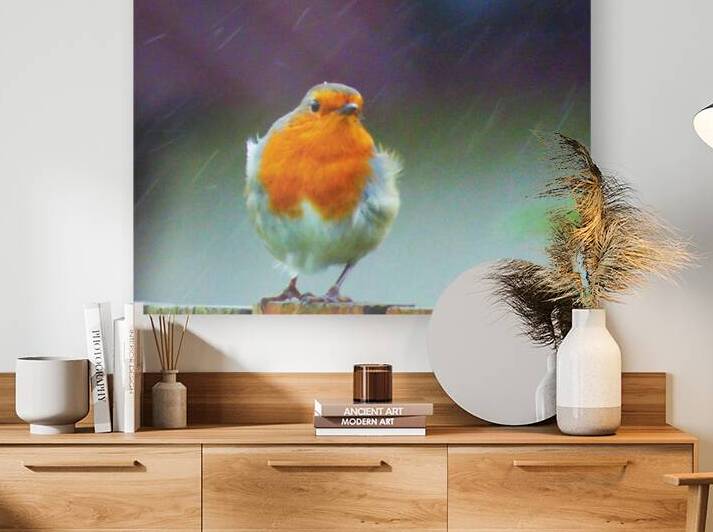 Scottish Highlands Robin in the Snow by Catriona Roberts Nature Photography and Designs