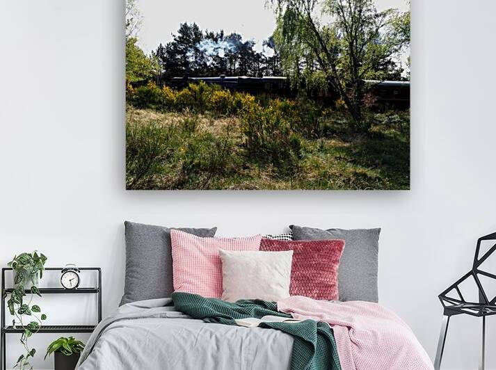  Strathspey Steam Railway on the Go                                                                                                                     by Catriona Roberts Nature Photography and Designs