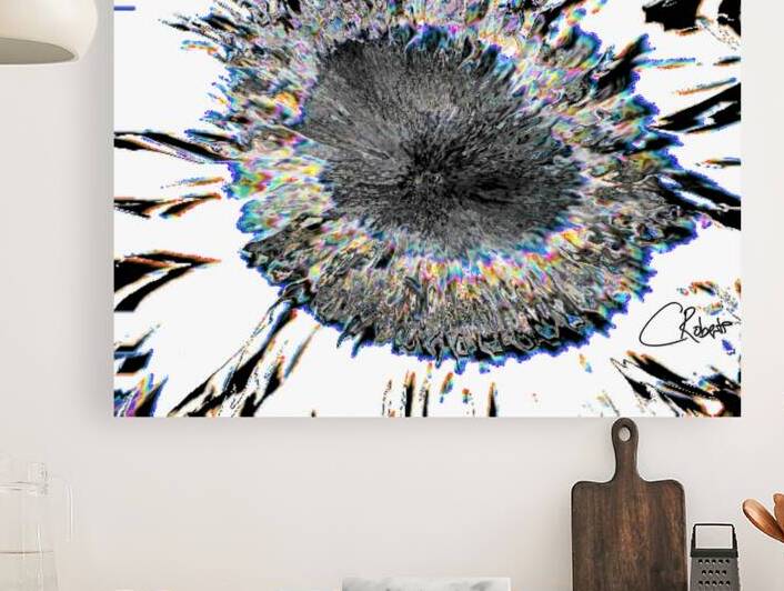 Rainbow Smeared Sunflower in Monochrome by Catriona Roberts Nature Photography and Designs