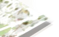Abstract Summer Daisy Light HD Metal print