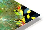 Bright Abstract Dandelion Clock HD Metal print
