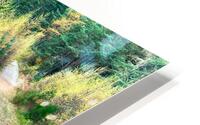 Scenes from the Trail- Decisions HD Metal print