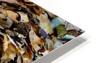 Abstract Impressionistic Leaves  HD Metal print